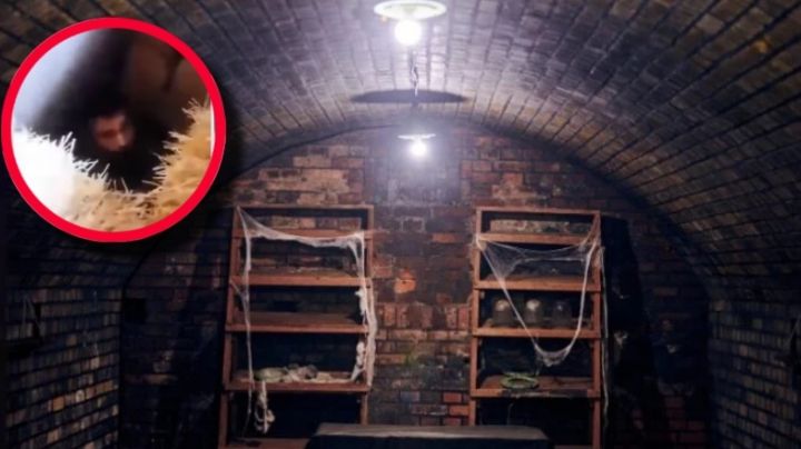 Joven desaparece y lo dan por muerto; lo encontraron en el sótano de su vecino 27 años después