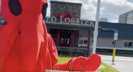 Red Lobster comienza a cerrar restaurantes en Texas; ¿en cuáles ciudades y por qué?