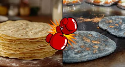 ¿Cuál tortilla es mejor, la azul o la amarilla?