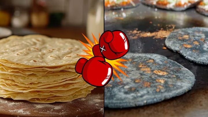 ¿Cuál tortilla es mejor, la azul o la amarilla?