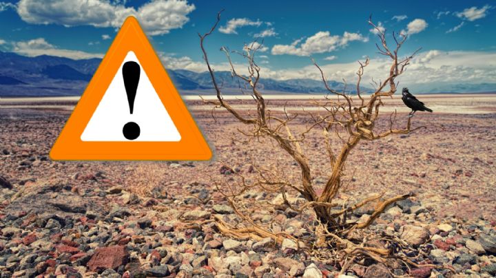 Día Cero, ¿qué es, por qué causa alarma y preocupación?