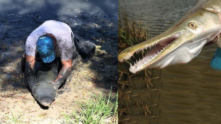 Catán del río Bravo: ¿cuál es la mejor temporada para atrapar al pez gigante?