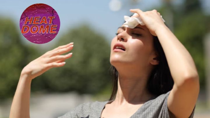 Ola de calor: se acercan los 15 días más calurosos en la historia del país