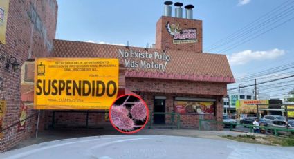 Pollo Matón contiene salmonella señala Secretaría de Salud; han muerto dos menores