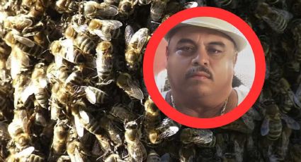 Abuelito hispano sufre dramática muerte por ataque de enjambre de 300 abejas; salva a niño