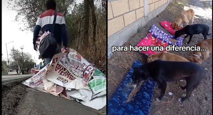 Joven en TikTok se hace viral por convertir ‘basura electoral’ en camas para perritos | VIDEO
