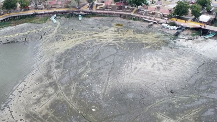 Desaparece laguna de Champayán en Tamaulipas; habitantes y turistas no pueden creerlo. | VIDEO