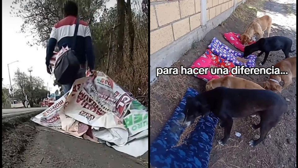 Chico se hace viral en TikTok por reciclar 'basura electoral' y convertirla en camas para perritos