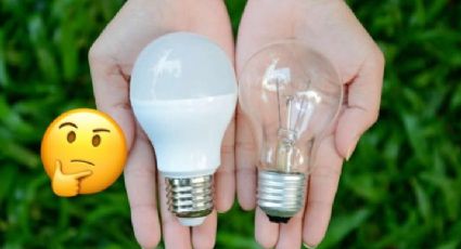 Focos LED vs. focos ahorradores: ¿cuáles son mejores para tu casa?