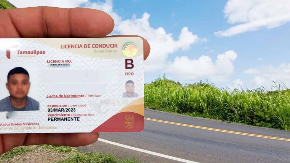 Licencia de conducir permanente: ¿Puedo tramitarla en otro estado, aunque no viva ahí?