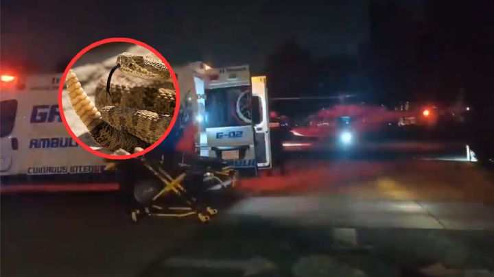 Joven es atacado por víbora de cascabel; tuvo que ser trasladado en helicóptero al hospital