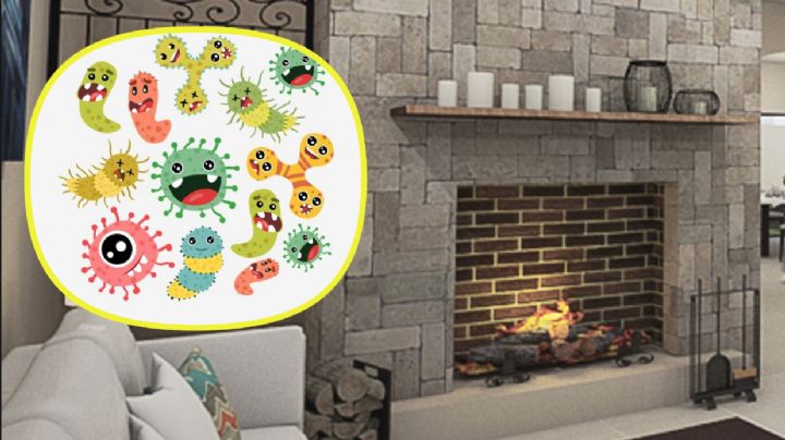 ¿Cuál es el objeto más sucio que hay en casa que debes lavar todos los días?