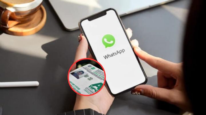¿Cómo y dónde renovar la licencia de conducir por WhatsApp en mayo del 2024?