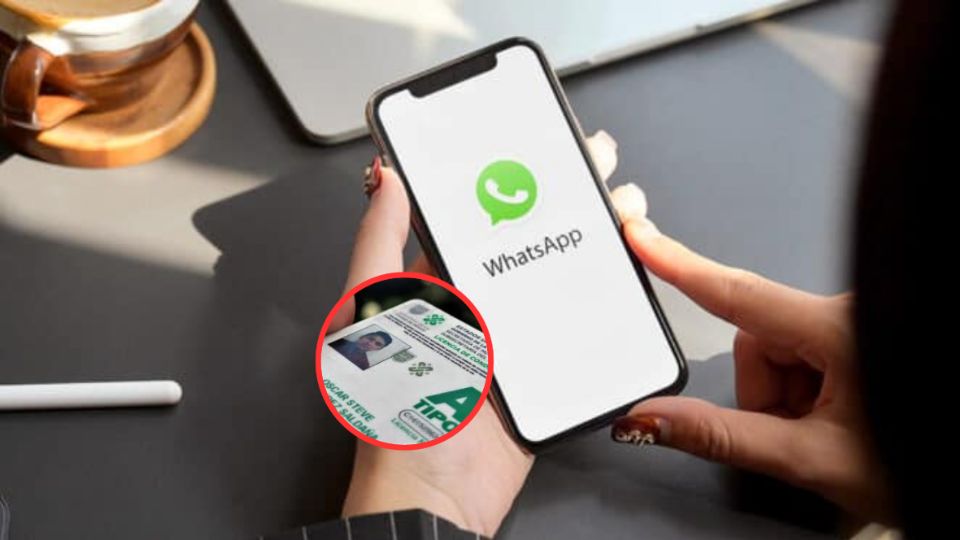 Licencia de manejo por WhatsApp