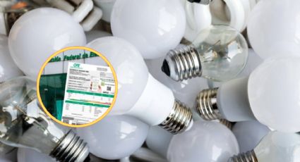 CFE cambia todos los focos y lámparas de tu hogar cumpliendo estos requisitos