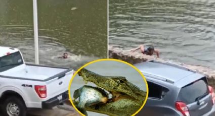 Hombre borracho tropieza y cae a laguna; fue rodeado por cocodrilos en segundos | VIDEO