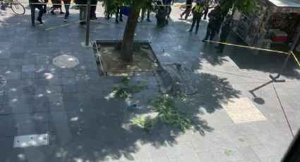 Hombre se arroja desde sexto piso de edificio frente a Palacio de Bellas Artes