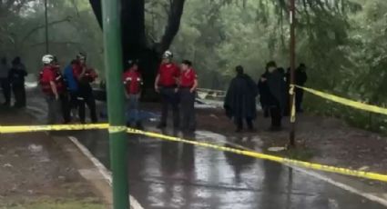 Mueren tres menores en Nuevo León a causa de la Tormenta Tropical Alberto