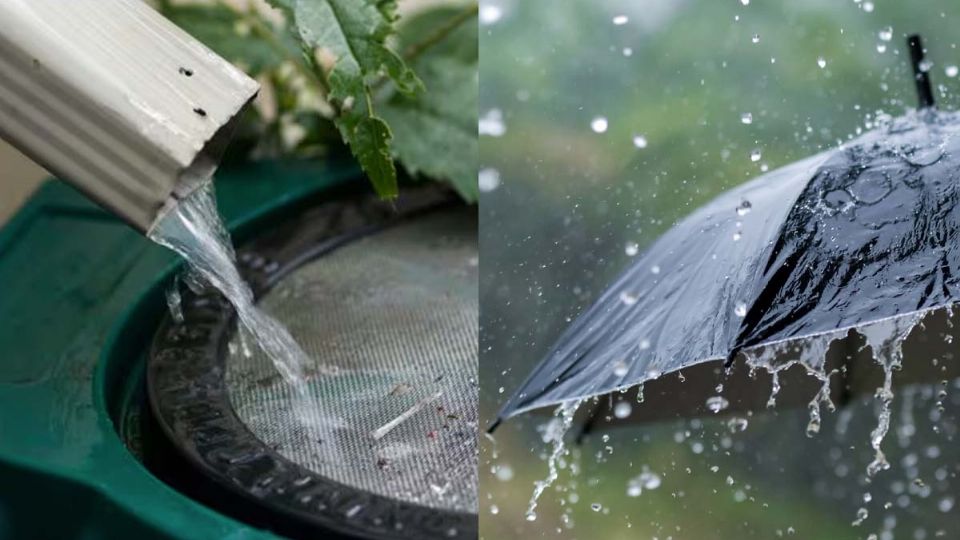 Se puede captar el agua de lluvia para darle multiples usos en casa