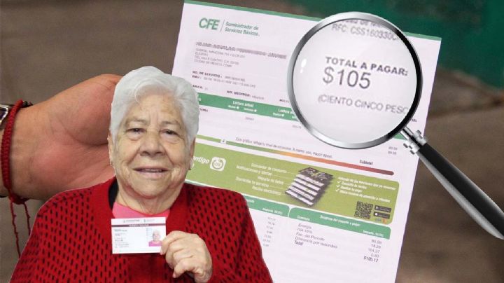 INAPAM y CFE: ¿hay descuento para adultos mayores en su recibo de luz?; esto se sabe   