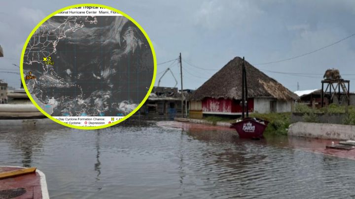 Retiran a bañistas en la Playa Miramar; ¿qué está pasando?