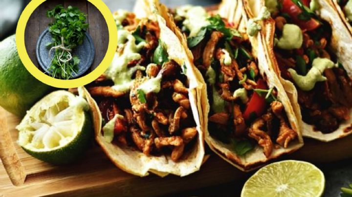 Así es como las taquerías en México sustituyen al cilantro ante el incremento en su precio