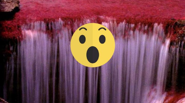 Cataratas de sangre: el misterioso fenómeno de la Antártida