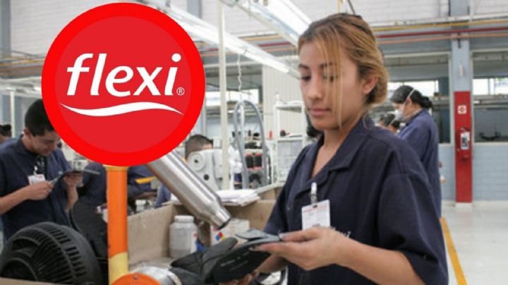Tras 18 años, Flexi cierra su planta: ¿Qué pasará con la marca de calzado?