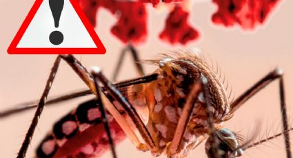 Alerta en México por casos de dengue; incrementó 385% en este 2024