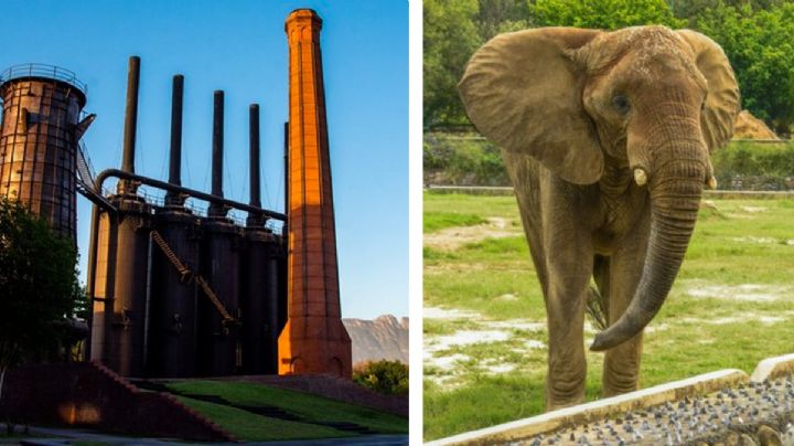 Reabren Parque Fundidora y La Pastora tras tormenta tropical ‘Alberto’