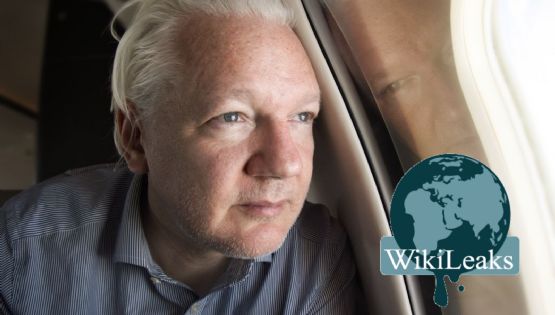Julian Assange, ¿quién es y por qué era perseguido?