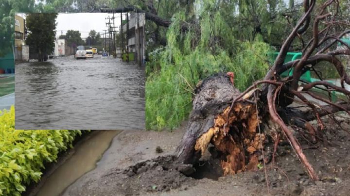 Reportan importantes lluvias en el Estado de México