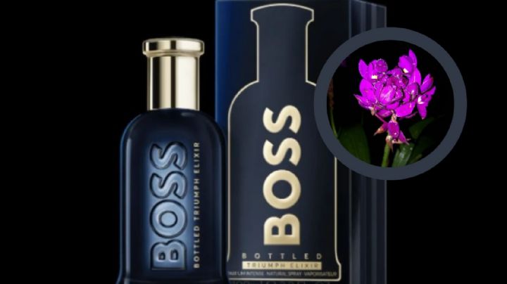 Hugo Boss anota un gol: la fragancia perfecta para los fanáticos del futbol