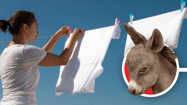 Conoce el 'truco del burrito' para secar la ropa en temporada de lluvias