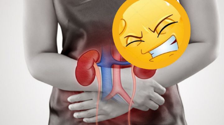 ¡Adiós al dolor al orinar!, descubre cómo cuidar tus riñones con estos consejos