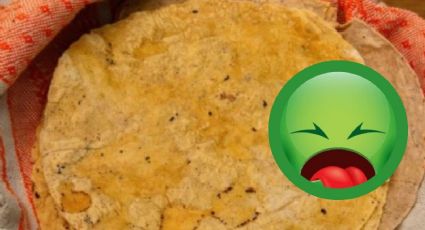 Si observas esto en tus tortillas de maíz, es mejor desecharlas; te explicamos por qué