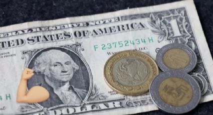 Dólar a punto de llegar a los 19 pesos: así cierra el tipo de cambio HOY 20 de agosto del 2024