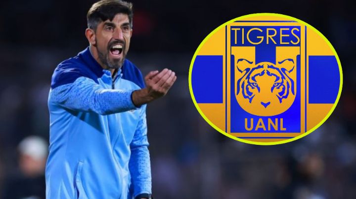 Desperdiciado en Chivas; Paunovic es el nuevo técnico de Tigres