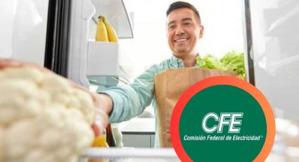 CFE: requisitos para cambiar tu refrigerador viejito por uno moderno