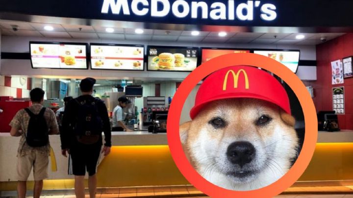McDonald’s celebra el 'Día del Perro', con una promoción irresistible y un regalo especial