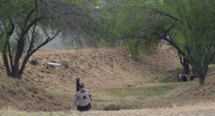 No hallaron al puma y alertan a quienes salen a correr en la mañana; ¿qué hacer si te lo encuentras?