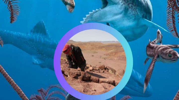 Encuentran una salamandra gigantesca que antecede a los dinosaurios | FOTO