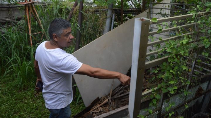 "Por seguridad del vecindario, había que sacrificar al animal": Lerrin Johnson