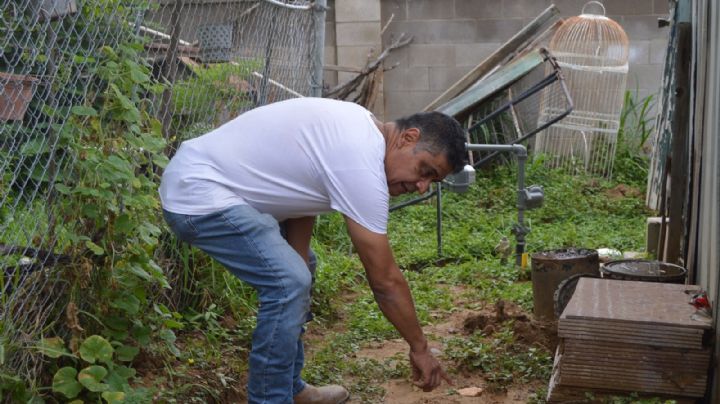 Laredenses se indignan por sacrificio de puma; piensan que había alternativas para su captura