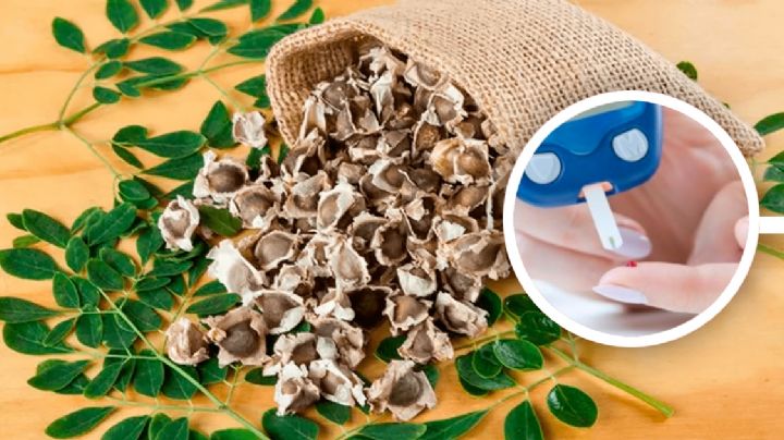 ¿La moringa ayuda al control de la diabetes? Esto dicen los expertos