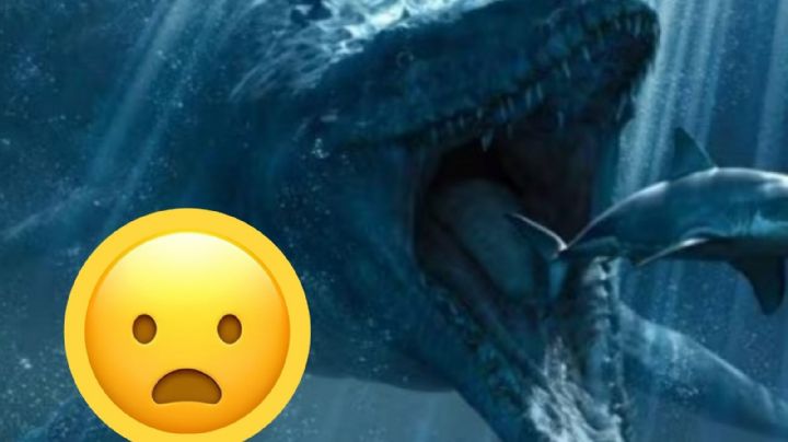 Descubren enorme depredador marino en la Antártida; entérate