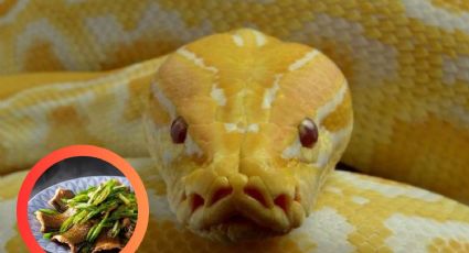 La carne de serpiente sería el alimento del futuro; te decimos por qué