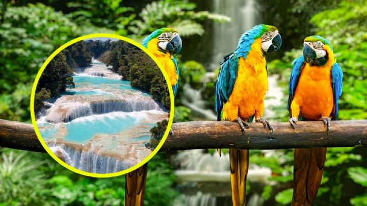 México ocupa este lugar entre los cinco países más bonitos del mundo, según la ciencia