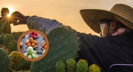 Poderosa fruta para diabéticos es conocida como la más mexicana