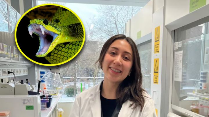 ¡Orgullo nacional! Mexicana ayuda a desarrollar antídoto contra veneno de serpientes